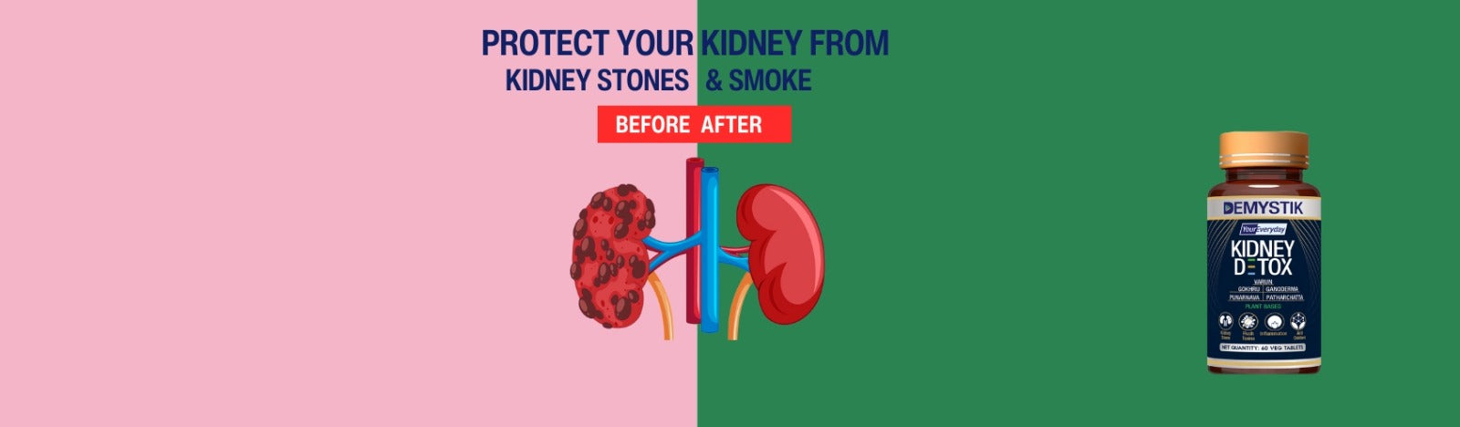How To Have Healthy Kidneys
